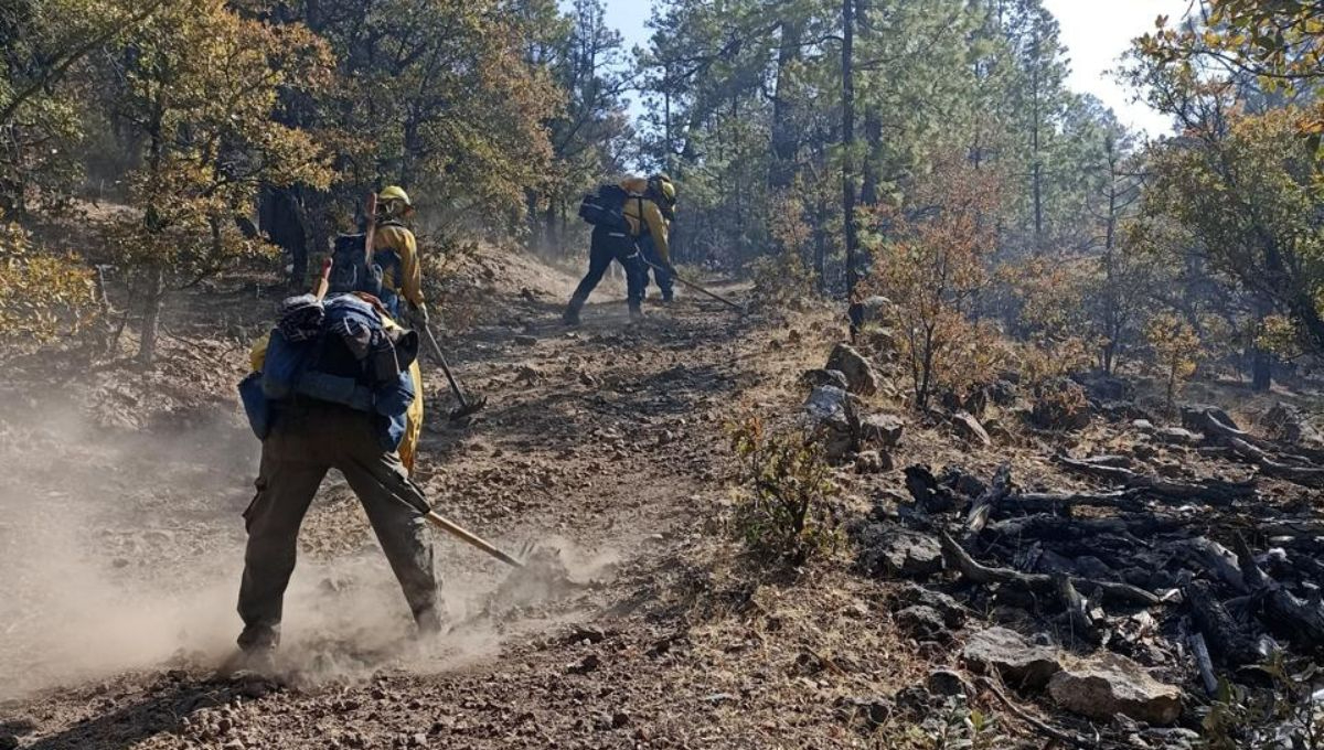 La topografía accidentada de la zona ha dificultado las acciones de combate directo