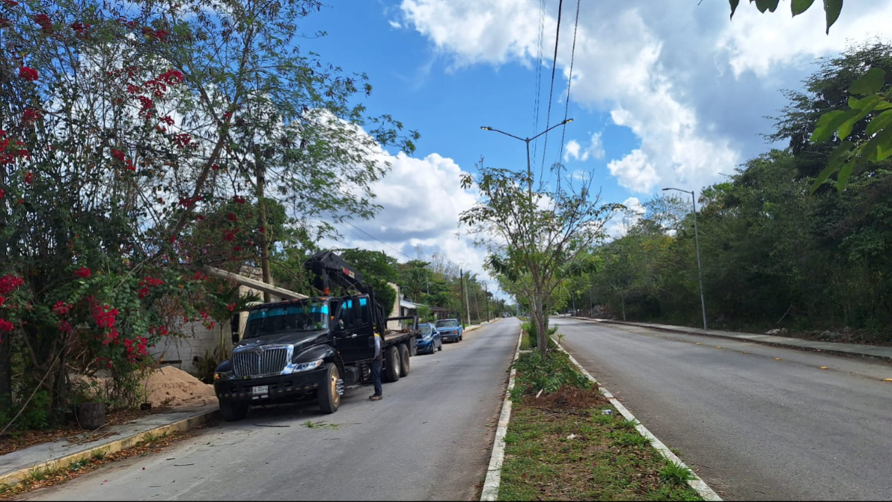 Las labores de la CFE se realizaron entre la avenida Tecnológico y la calle 83. Las labores de la CFE se realizaron entre la avenida Tecnológico y la calle 83.