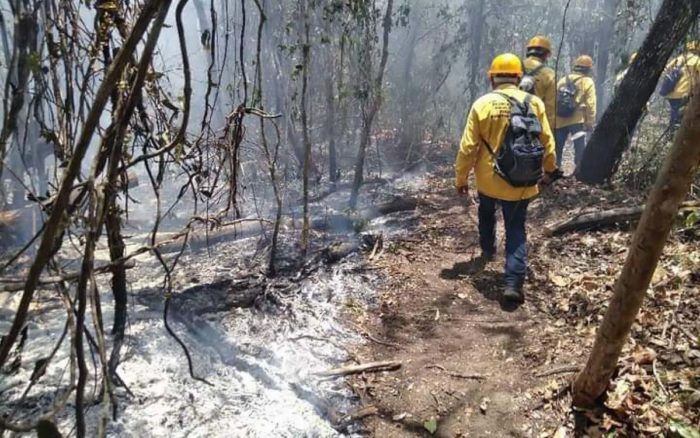 Alertan sobre sequía prolongada en 2025 Alertan sobre sequía prolongada en 2025