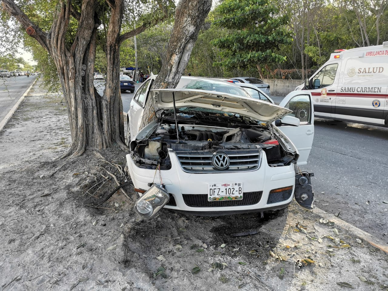 Joven se salva de milagro tras chocar su auto contra un árbol en  Ciudad del Carmen