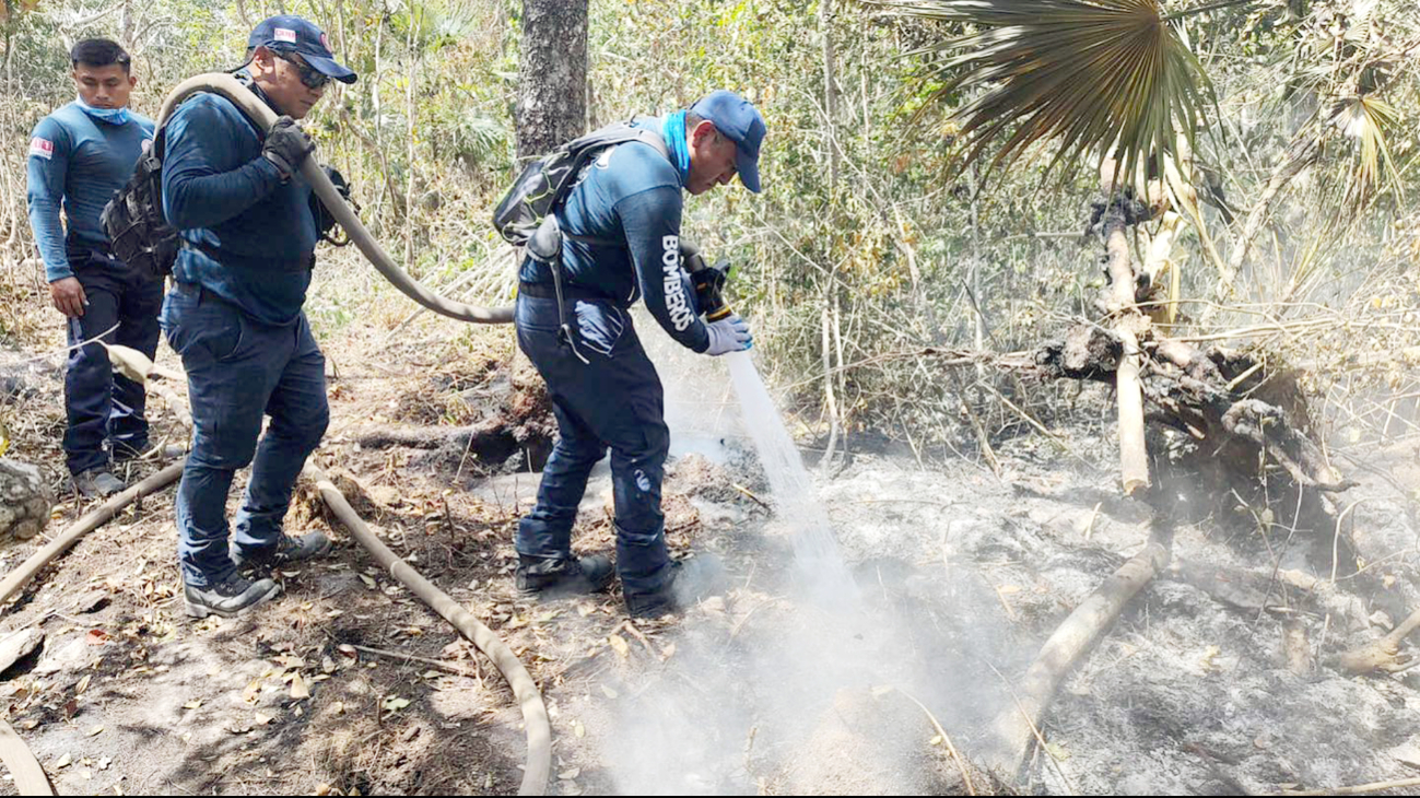 Atienden nueve incendios forestales en Tulum; dos siguen activos