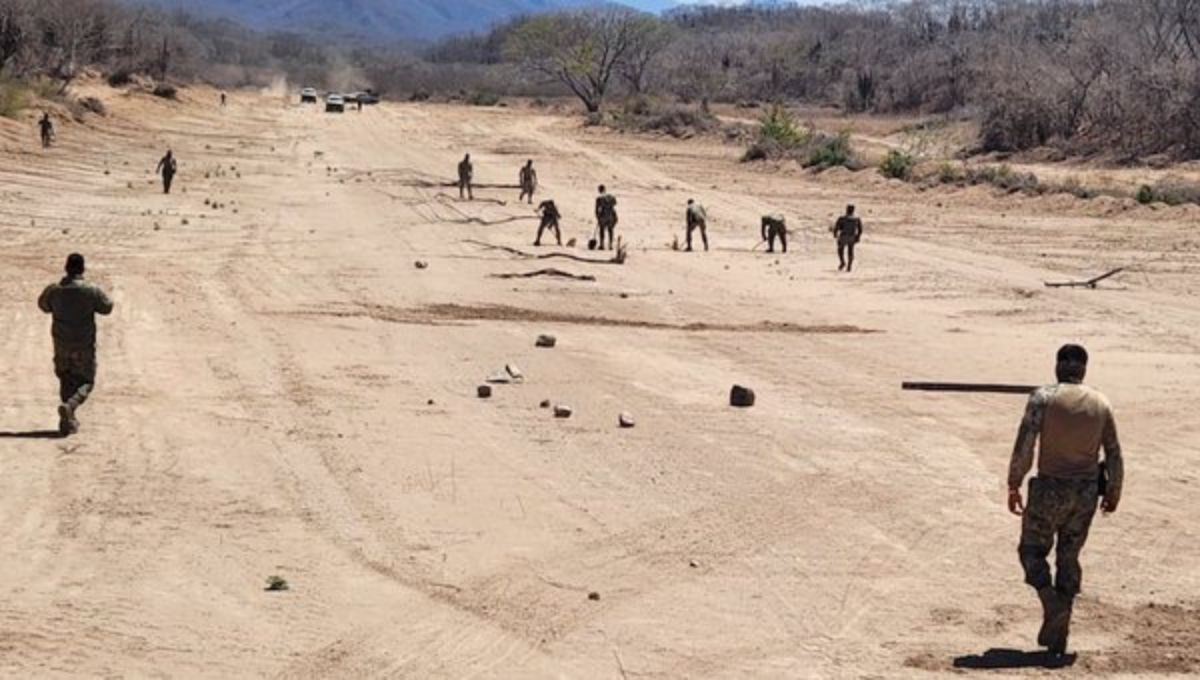 Durante el operativo, se descubrieron y destruyeron dos plantíos de marihuana