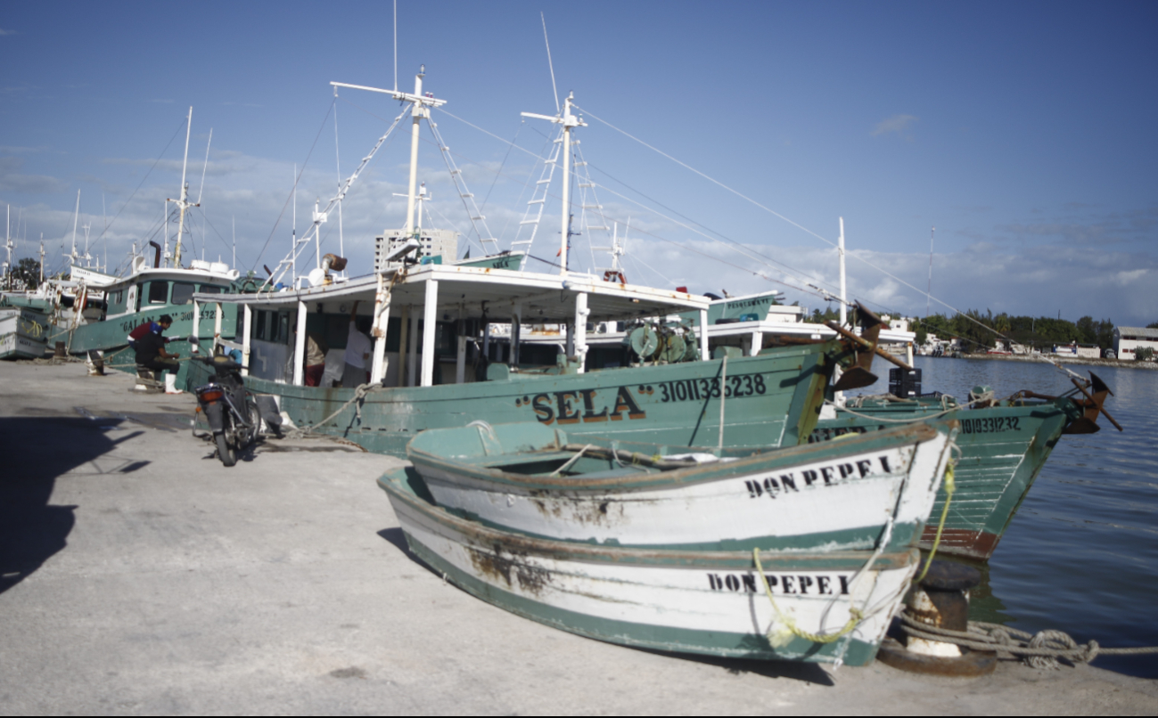 Pescadores calientan motores de cara a la temporada de captura del mero en Yucatán 