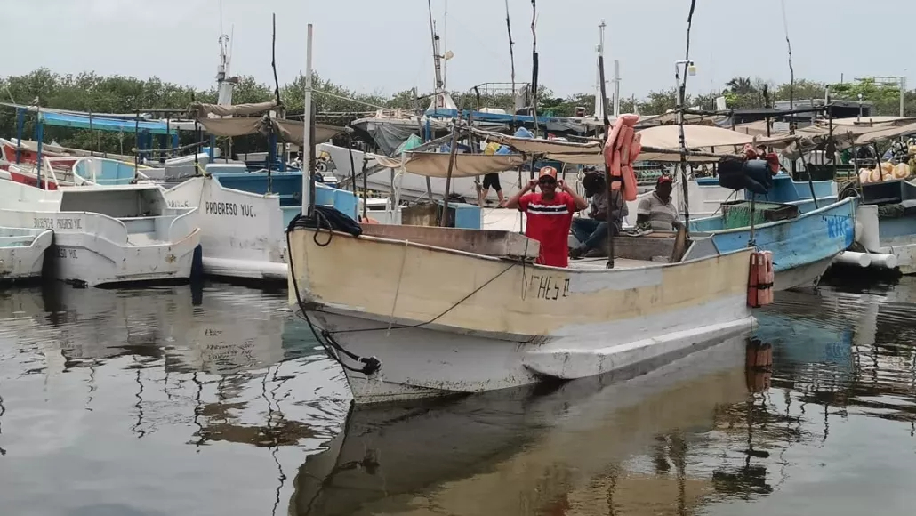 Comienza conteo de embarcaciones en puertos de Yucatán como parte del programa de seguridad marítima Comienza conteo de embarcaciones en puertos de Yucatán como parte del programa de seguridad marítima