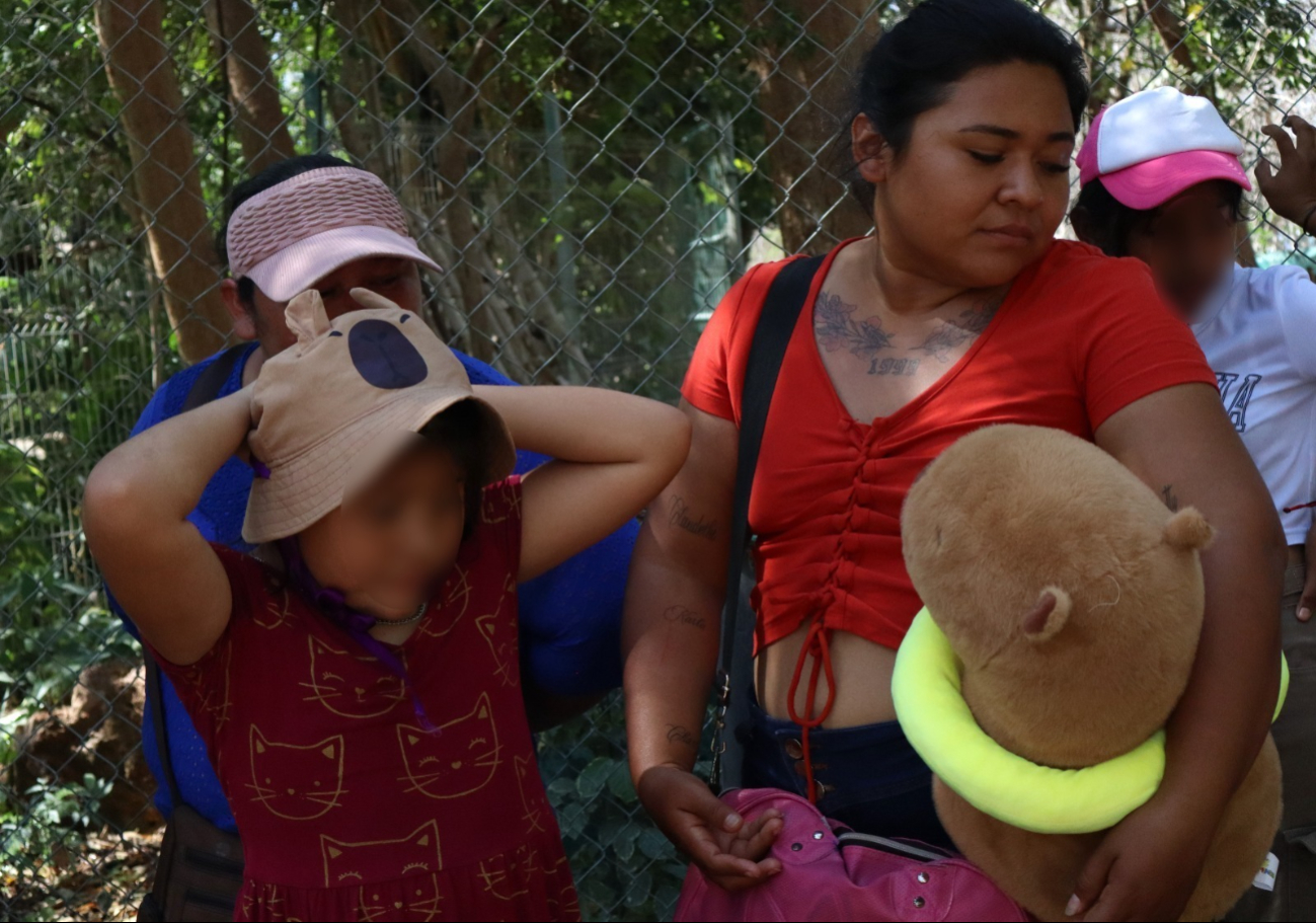 Niños incluso llevan sus peluches de capibaras al zoológico Animaya Niños incluso llevan sus peluches de capibaras al zoológico Animaya