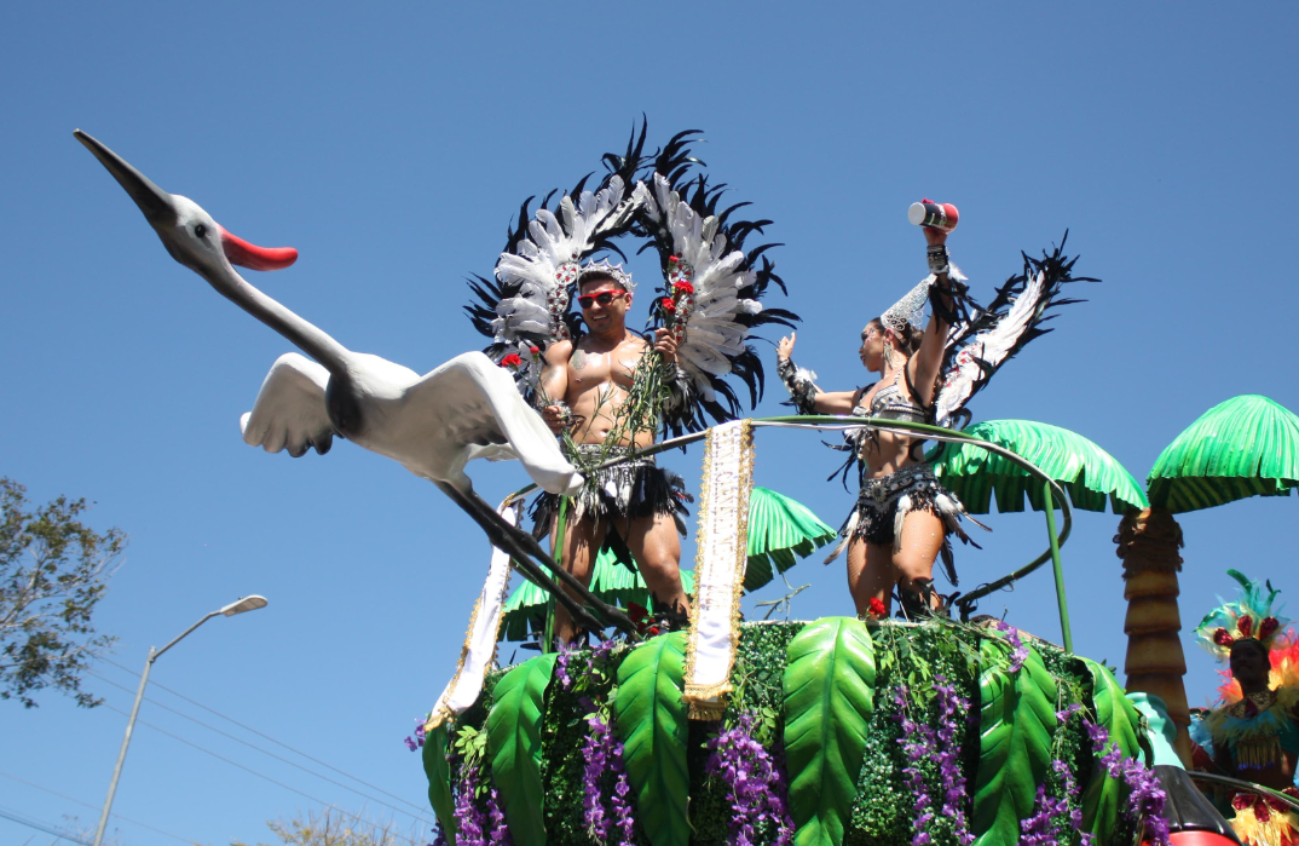 Durante la Batalla de Flores comparsas de distintas colonias, empresas, mercados municipales y demás, mostraron sus mejores pasos Durante la Batalla de Flores comparsas de distintas colonias, empresas, mercados municipales y demás, mostraron sus mejores pasos