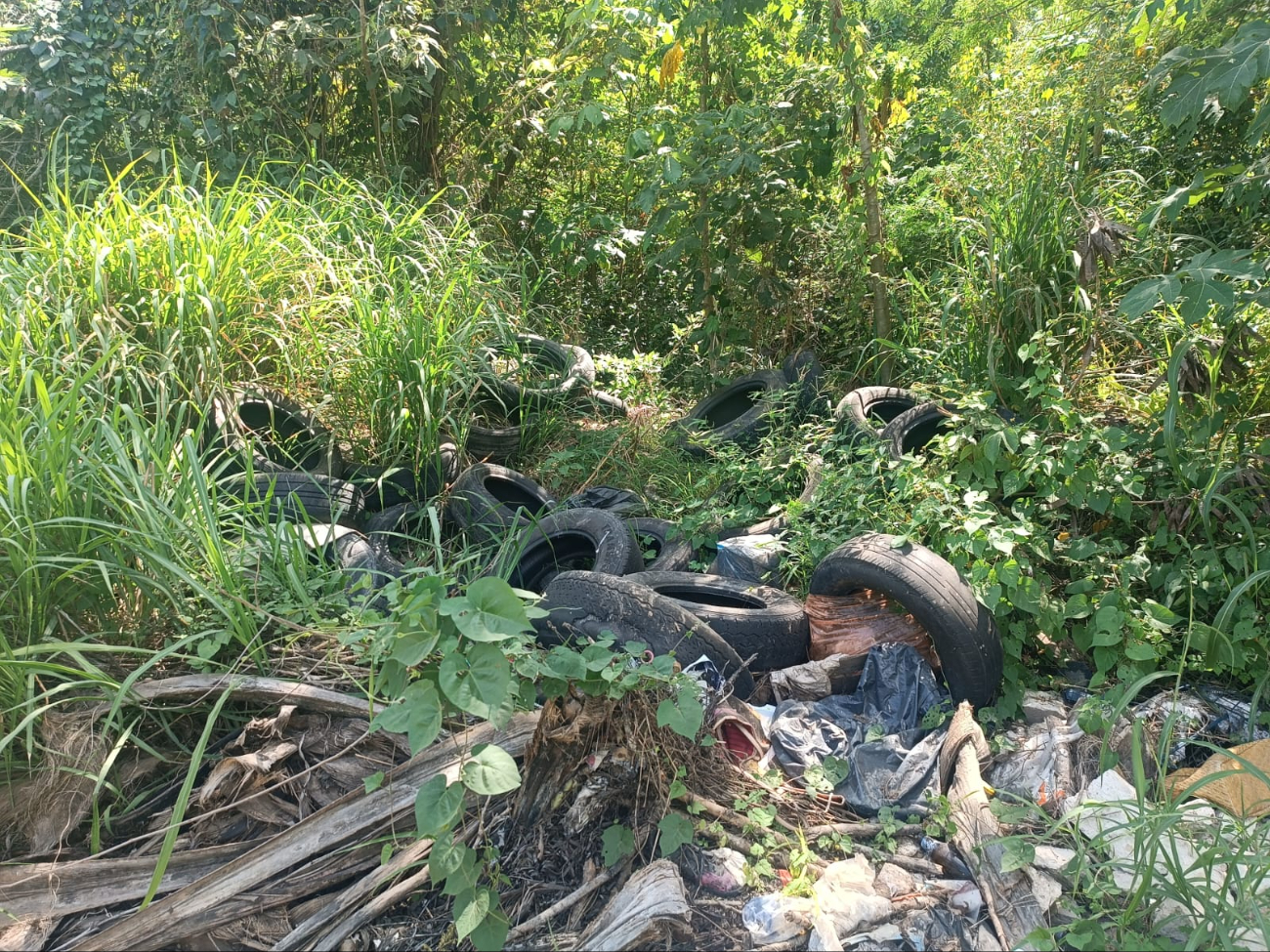 La acumulación de basura afecta la salude de los habitantes La acumulación de basura afecta la salude de los habitantes