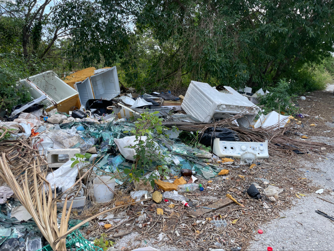 La basura genera malos olores, que a la larga afectará la salud de los habitantes La basura genera malos olores, que a la larga afectará la salud de los habitantes