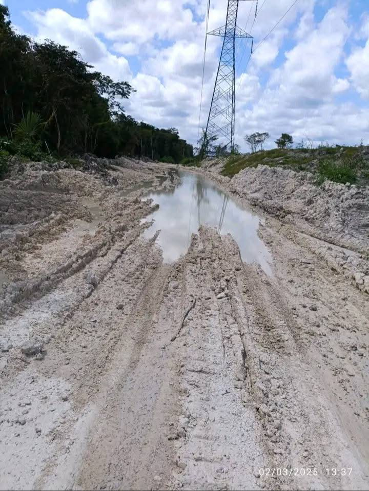 Parece que las autoridades se han olvidado de las comunidades rurales. Parece que las autoridades se han olvidado de las comunidades rurales.