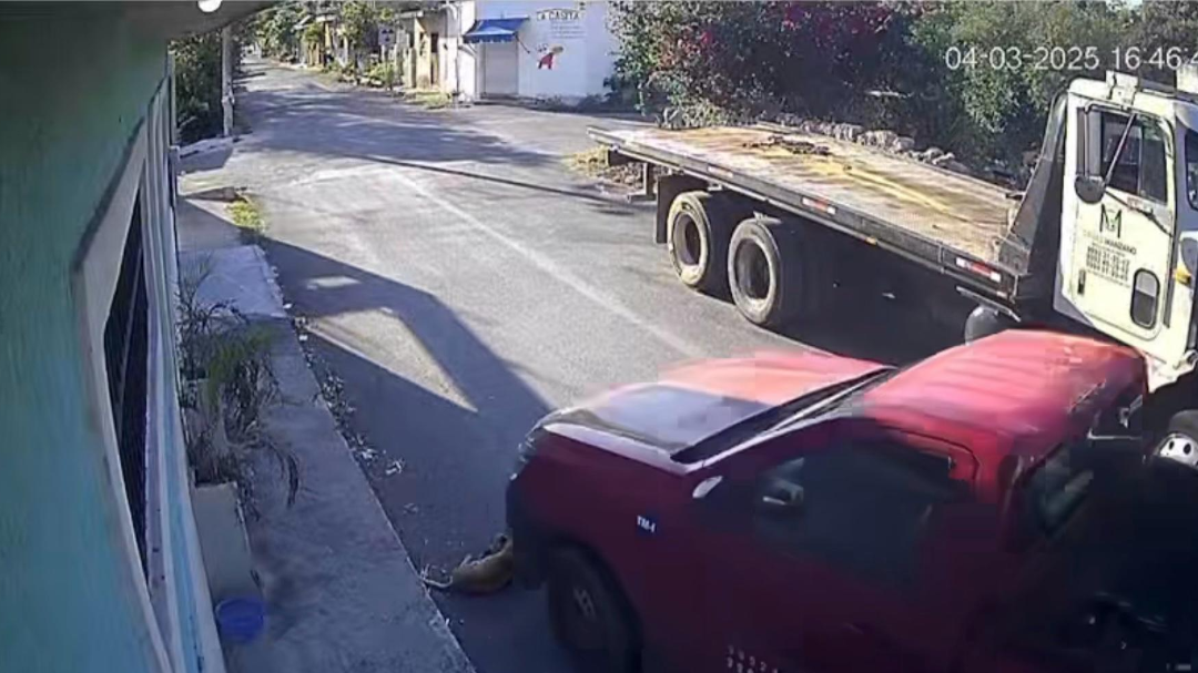 Un nuevo caso de maltrato animal se suscitó en el municipio de Hunucmá e indignó a la comunidad Un nuevo caso de maltrato animal se suscitó en el municipio de Hunucmá e indignó a la comunidad