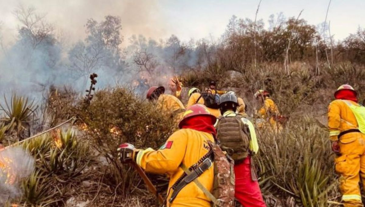 Las brigadas trabajan de manera coordinada para evaluar y extinguir los llamados "puntos calientes" Las brigadas trabajan de manera coordinada para evaluar y extinguir los llamados "puntos calientes"