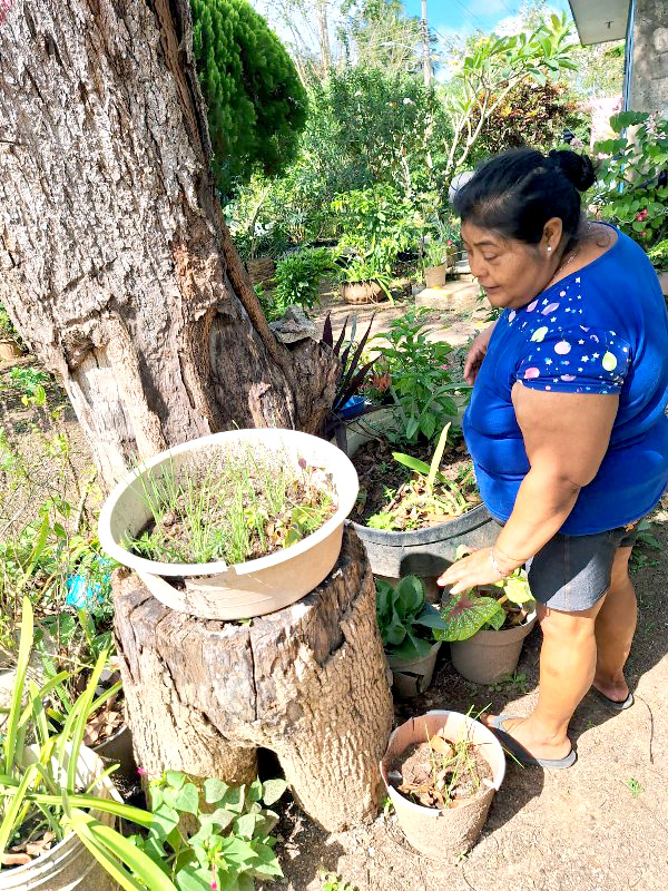 Hasta ahora ha sido la única mujer Comisariada Ejidal en el municipio Hasta ahora ha sido la única mujer Comisariada Ejidal en el municipio
