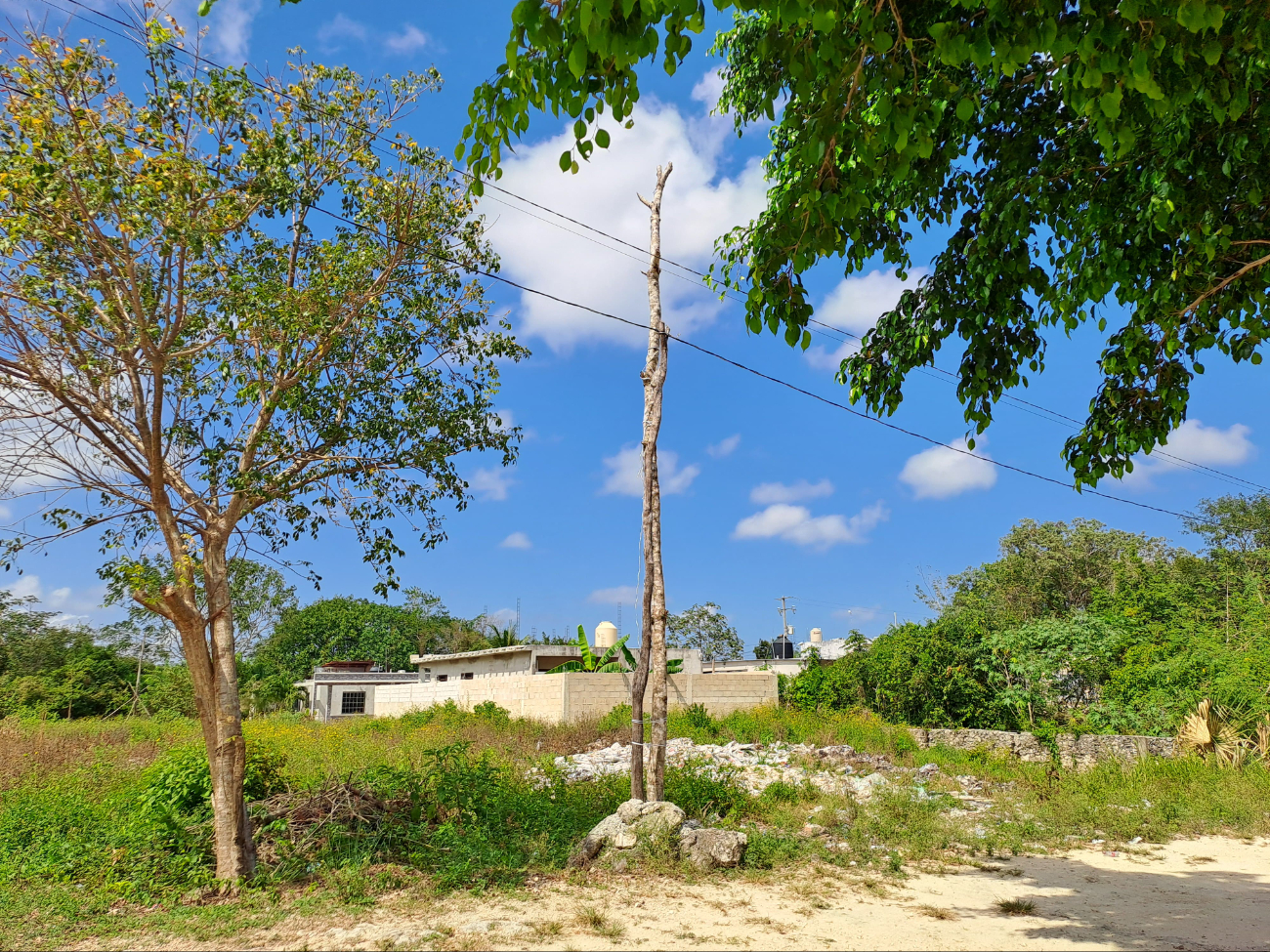Habitantes de Isla Mujeres improvisan postes de luz para ahuyentar a la delincuencia
