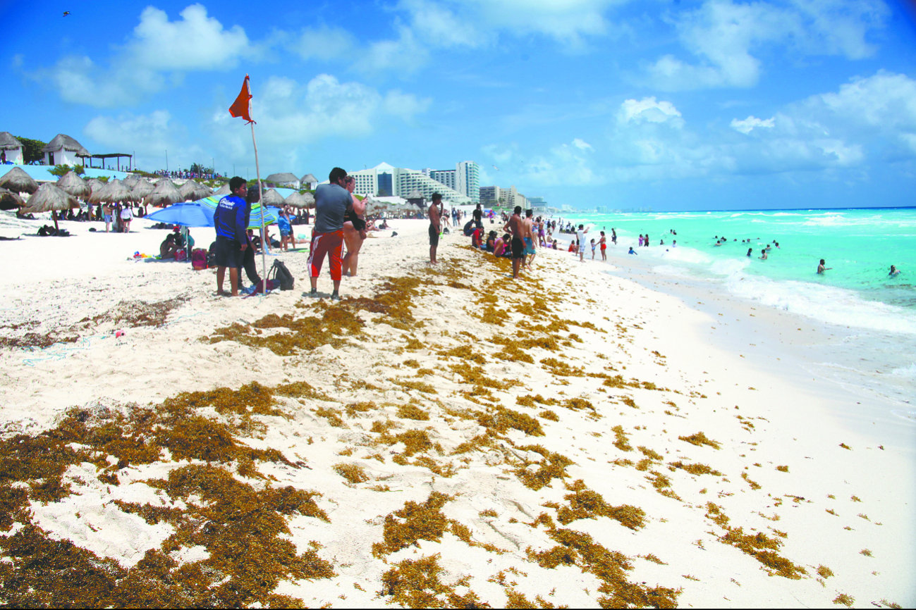 Quintana Roo reportó 17 playas con exceso de sargazo durante marzo