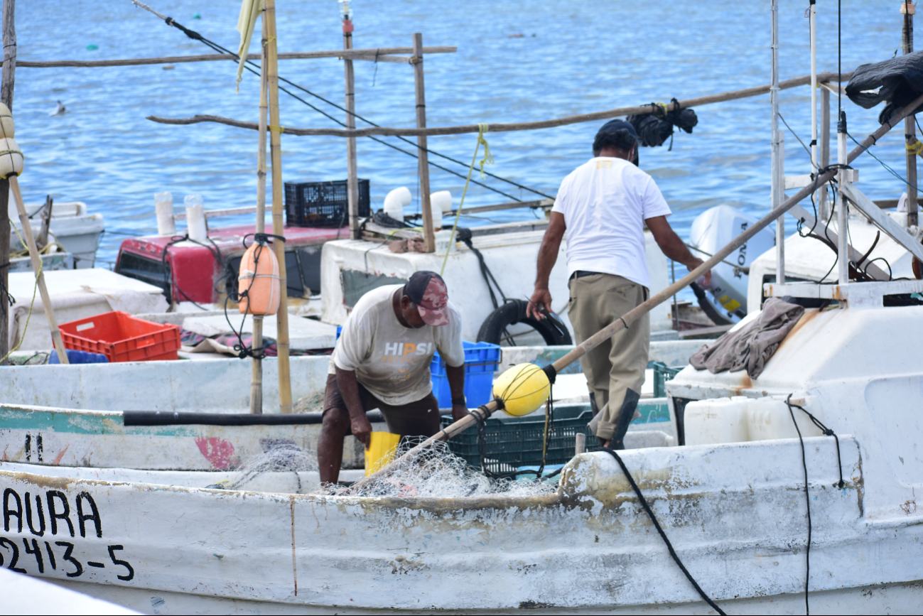 Sector pesquero de Campeche exige fecha de pago por veda y baja captura