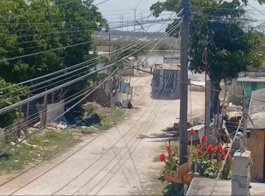 Invasores rellenan con escombro los manglares de Chicxulub para construir casas