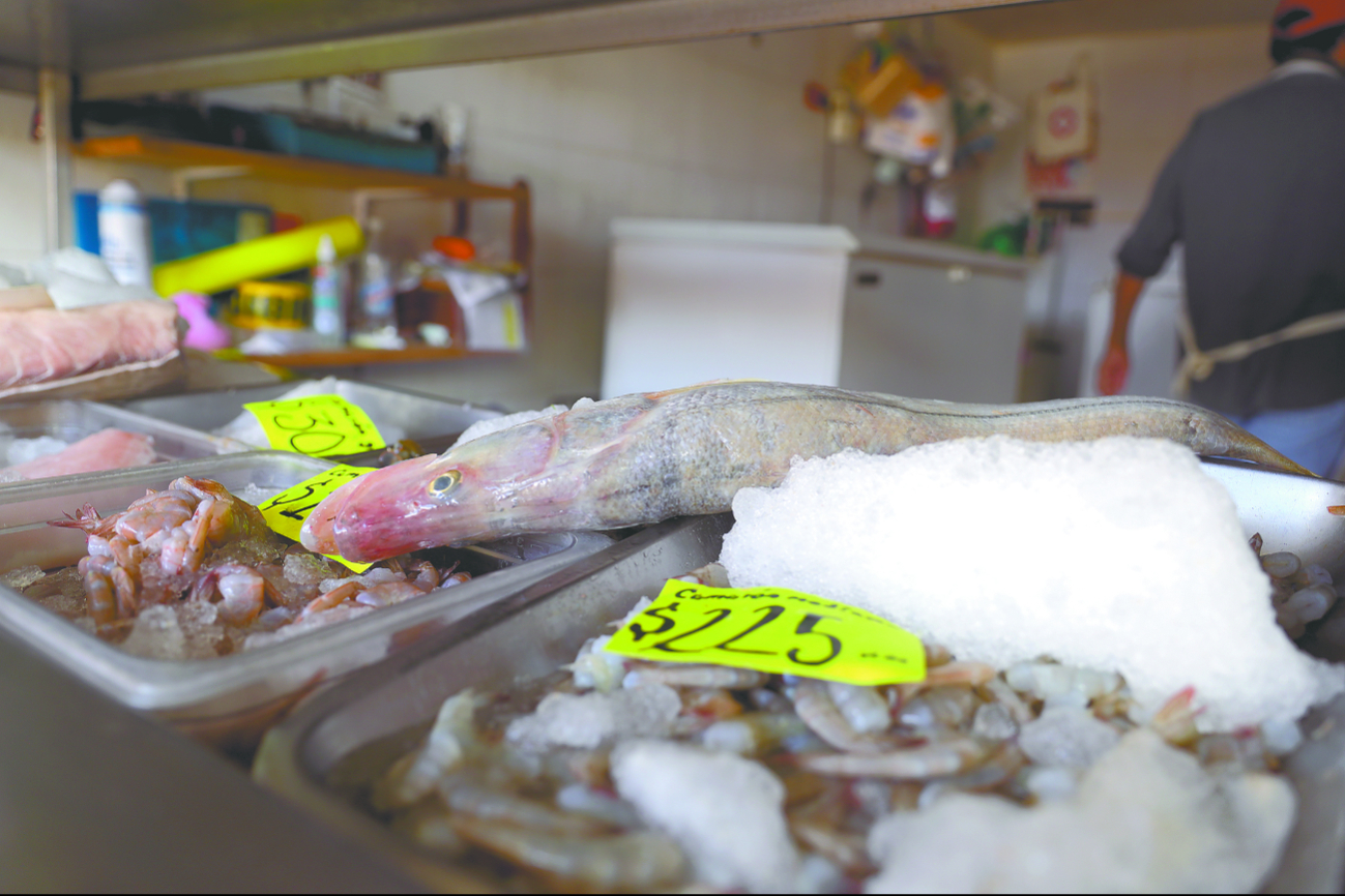 En cada zarpe, los pescadores desembolsan alrededor de 5 mil pesos por navío, por lo que se vieron obligados a incrementar sus tarifas, para que la captura les sea redituable