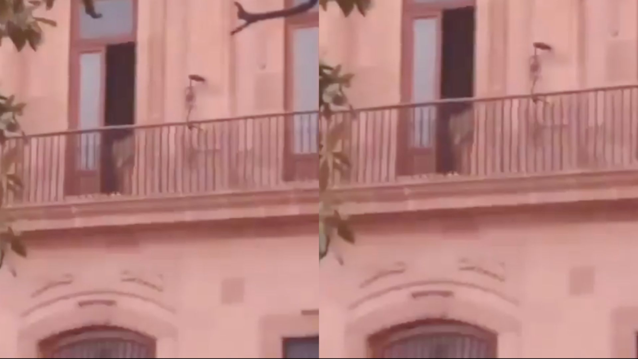 Misteriosa aparición de una mujer inquieta las redes sociales, ¿es el fantasma de Carlota? Mira el video