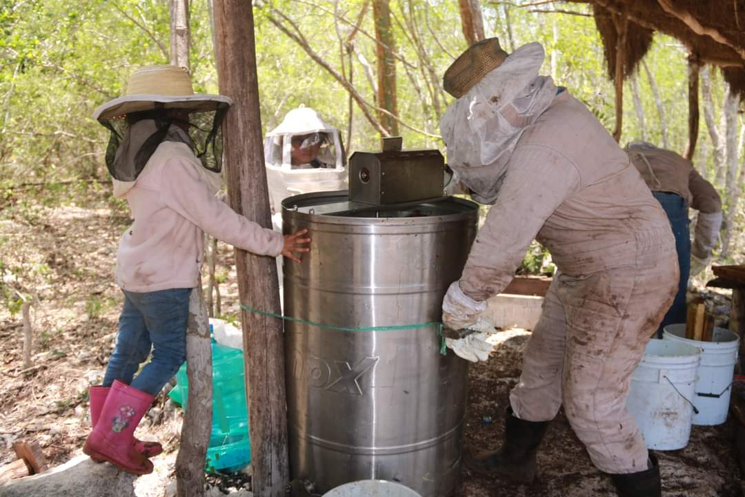 Actualmente, esposas e hijos de hombres dedicados a la crianza de abejas se suman a las labores