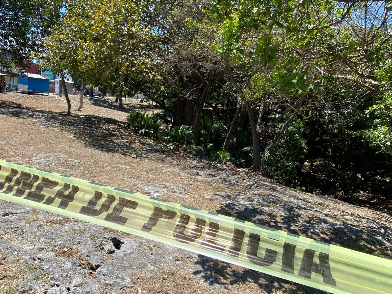 Macabro hallazgo: Localizan un cuerpo en estado de descomposición en un parque de Cancún  