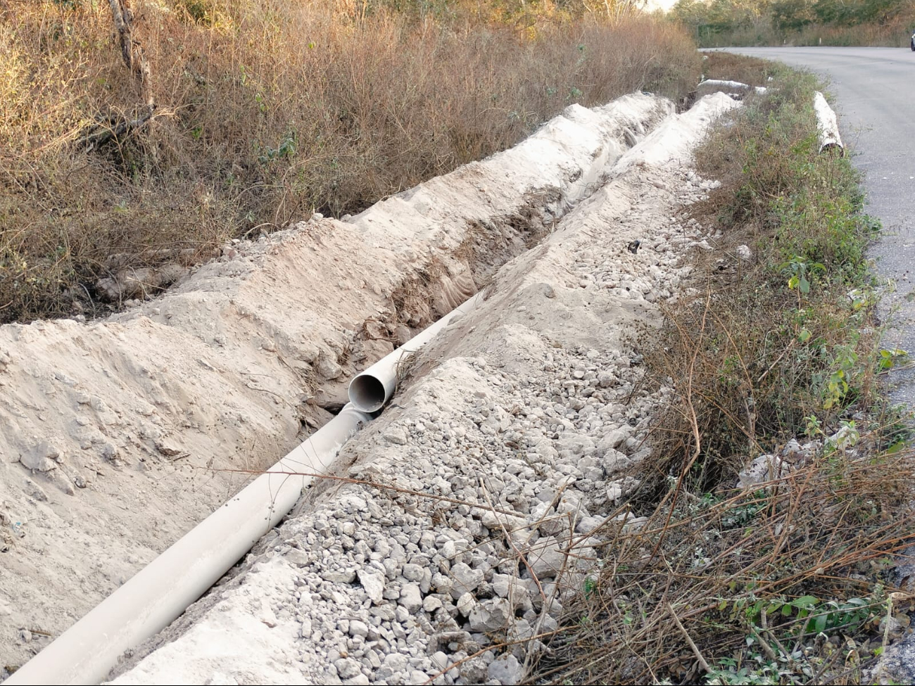 Dicha obra municipal estaba impactando gravemente el ecosistema, violando ciertas normativas federales que la protege Dicha obra municipal estaba impactando gravemente el ecosistema, violando ciertas normativas federales que la protege