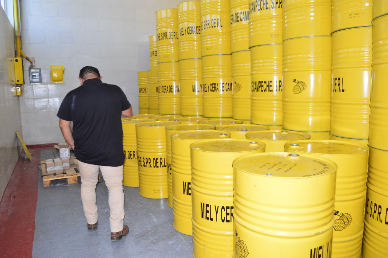 El precio de la miel cayó de 55 mil a 25 mil pesos por tonelada por desinformación sobre contaminación con glifosato El precio de la miel cayó de 55 mil a 25 mil pesos por tonelada por desinformación sobre contaminación con glifosato