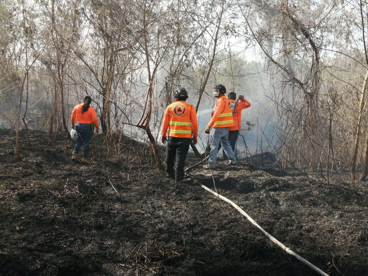 Piden precaución por incendios en caminos hacia Mérida y Champotón Piden precaución por incendios en caminos hacia Mérida y Champotón