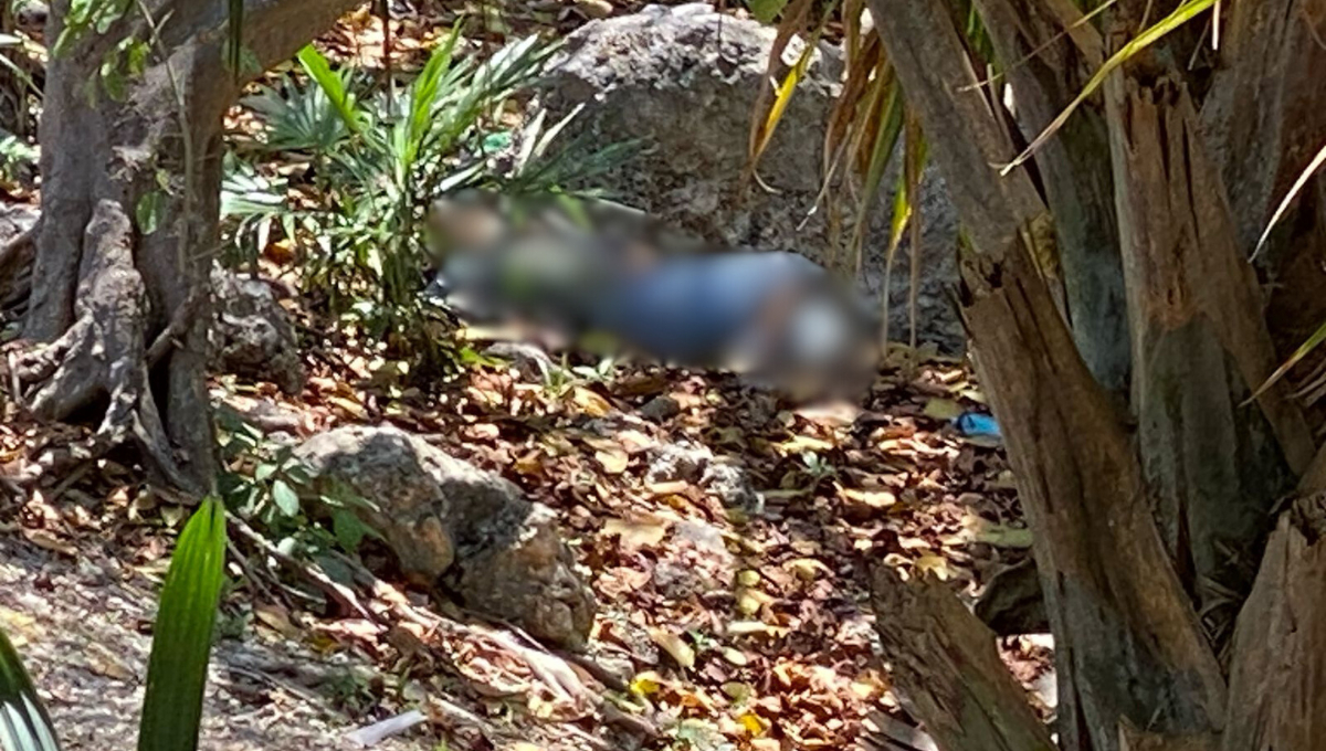 Se cree que el cuerpo llevaba dos días antes de ser encontrado Se cree que el cuerpo llevaba dos días antes de ser encontrado