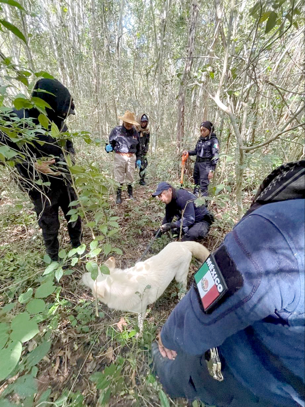 Dentro de las niñas por localizar, destaca el caso de una infante de cinco años. ( Dentro de las niñas por localizar, destaca el caso de una infante de cinco años. (