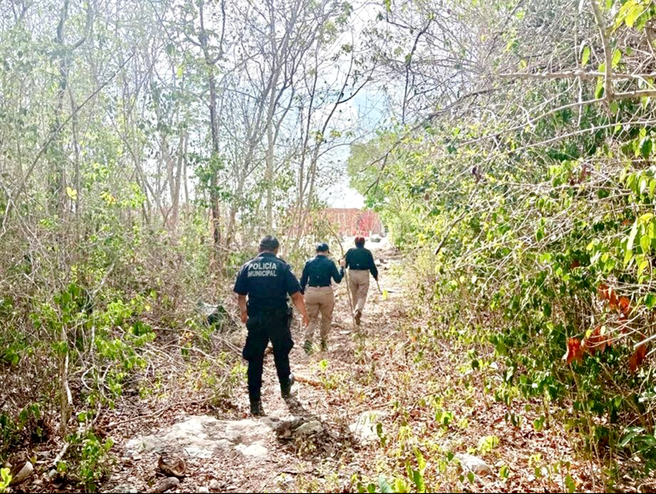 La pequeña Camila Valentina Rivera fue ubicada en Ciudad de México, pese a haberse perdido en Cancún. La pequeña Camila Valentina Rivera fue ubicada en Ciudad de México, pese a haberse perdido en Cancún.