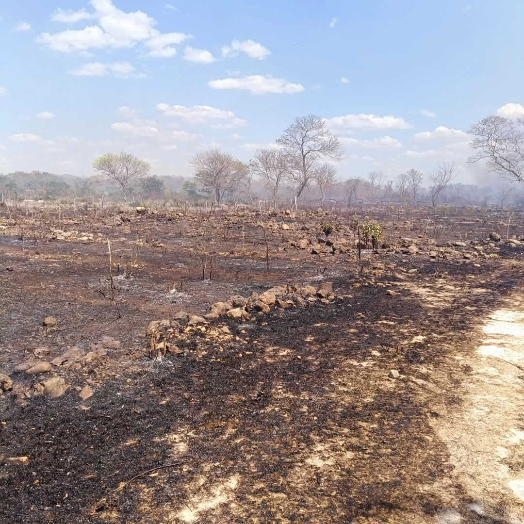 Quemas agrícolas amenazan la fertilidad de la tierra en Campeche