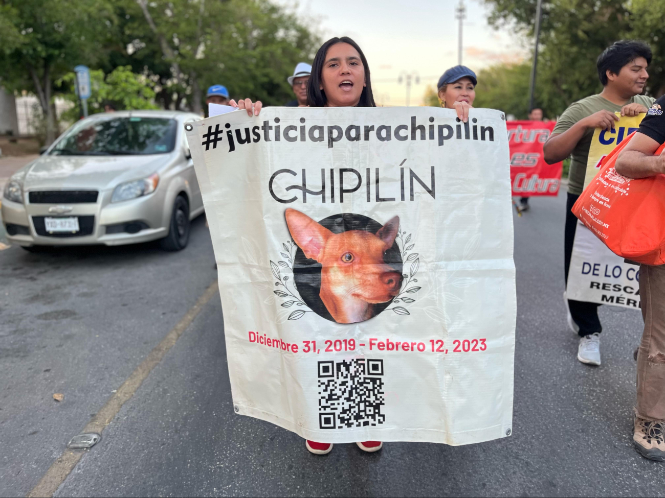 Los animalistas marcharon con sus mascotas o fotos de ellas. Los animalistas marcharon con sus mascotas o fotos de ellas.