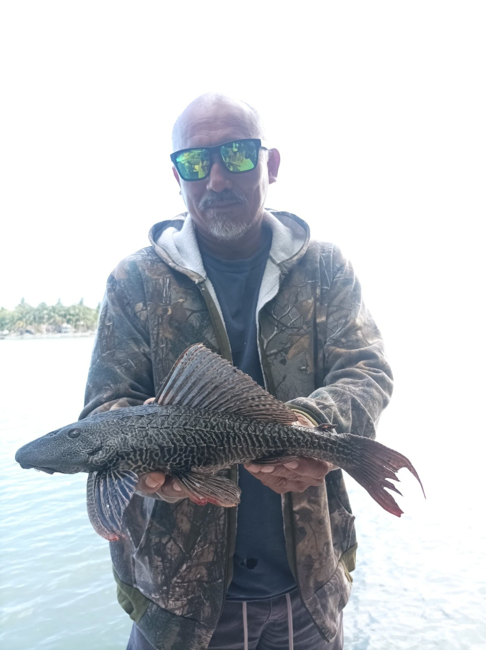 Mantienen monitoreo de pez diablo en Bacalar Mantienen monitoreo de pez diablo en Bacalar