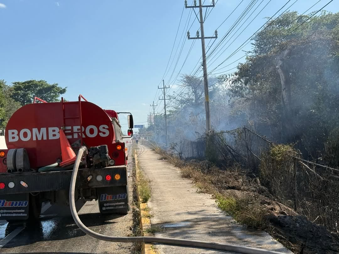 Protección Civil y Bomberos lograron establecer una guardarraya para evitar daños en áreas protegidas Protección Civil y Bomberos lograron establecer una guardarraya para evitar daños en áreas protegidas