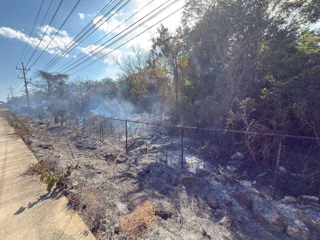 Un incendio de 200 metros cuadrados ocurrió cerca de la zona arqueológica de Xel-Há,
