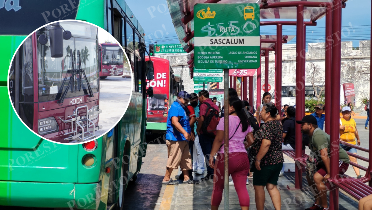 La siguiente fase comprende 24 rutas alimentadoras en una extensión de más de 300 kilómetros, lo que lleva tiempos y cálculos justificó la Sedumop.