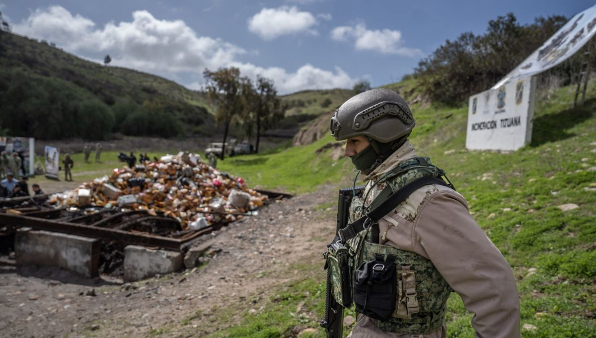 Los resultados presentados reflejan el compromiso del Gobierno de México en fortalecer la seguridad y combatir eficazmente al crimen organizado Los resultados presentados reflejan el compromiso del Gobierno de México en fortalecer la seguridad y combatir eficazmente al crimen organizado
