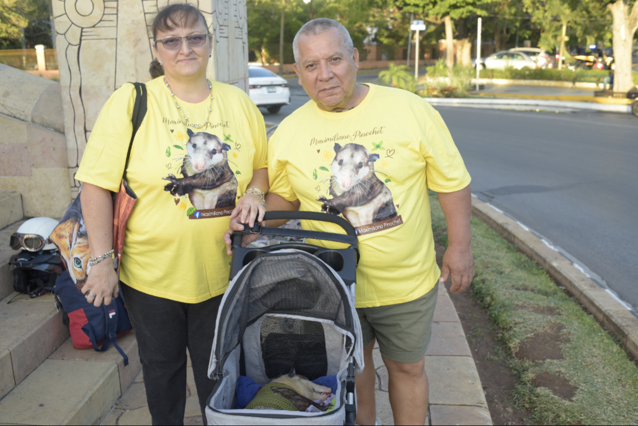 Ofelia Pérez, quien es madre del marsupial, dijo que tuvo que acondicionar un espacio en su casa para acogerlo Ofelia Pérez, quien es madre del marsupial, dijo que tuvo que acondicionar un espacio en su casa para acogerlo