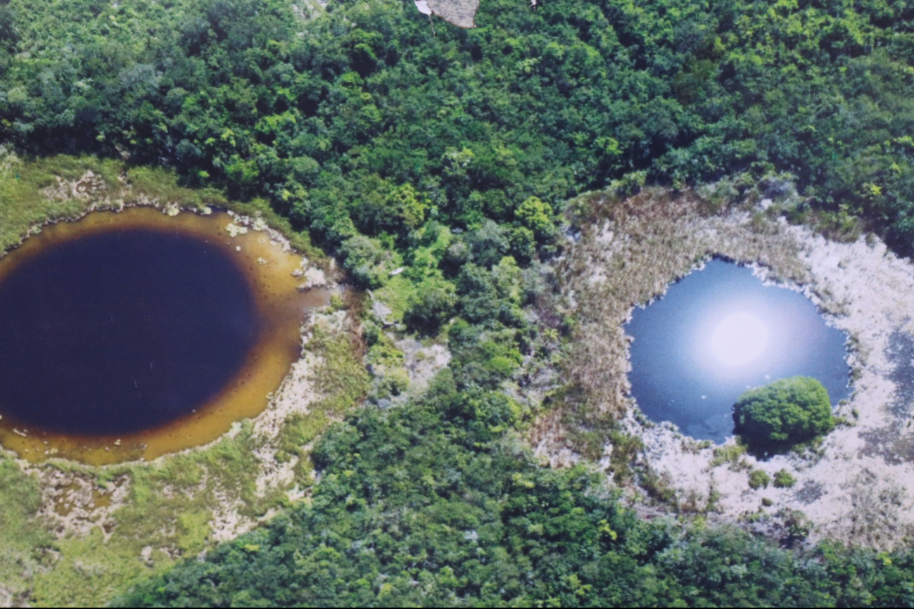 Agua, tema prioritario en Yucatán;  institutos de educación superior e investigación colaboran con el Gobierno para protegerla 