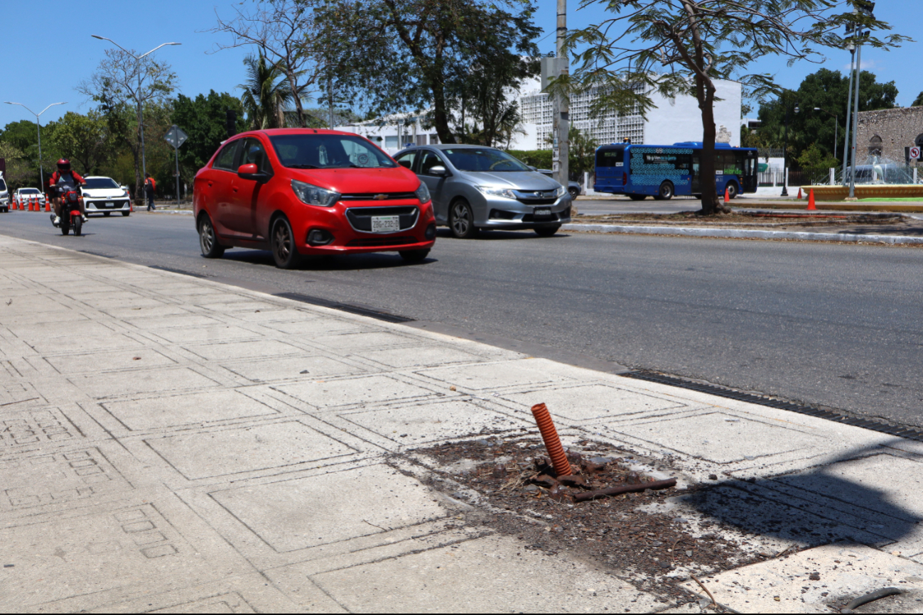 Antes se buscaba que el Parque de La Paz de Mérida aumente en sus visitas Antes se buscaba que el Parque de La Paz de Mérida aumente en sus visitas