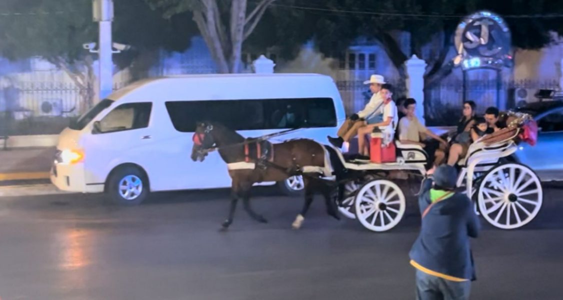Animalistas de Mérida confrontan a calesero quien trasladaba a siete personas durante un paseo   