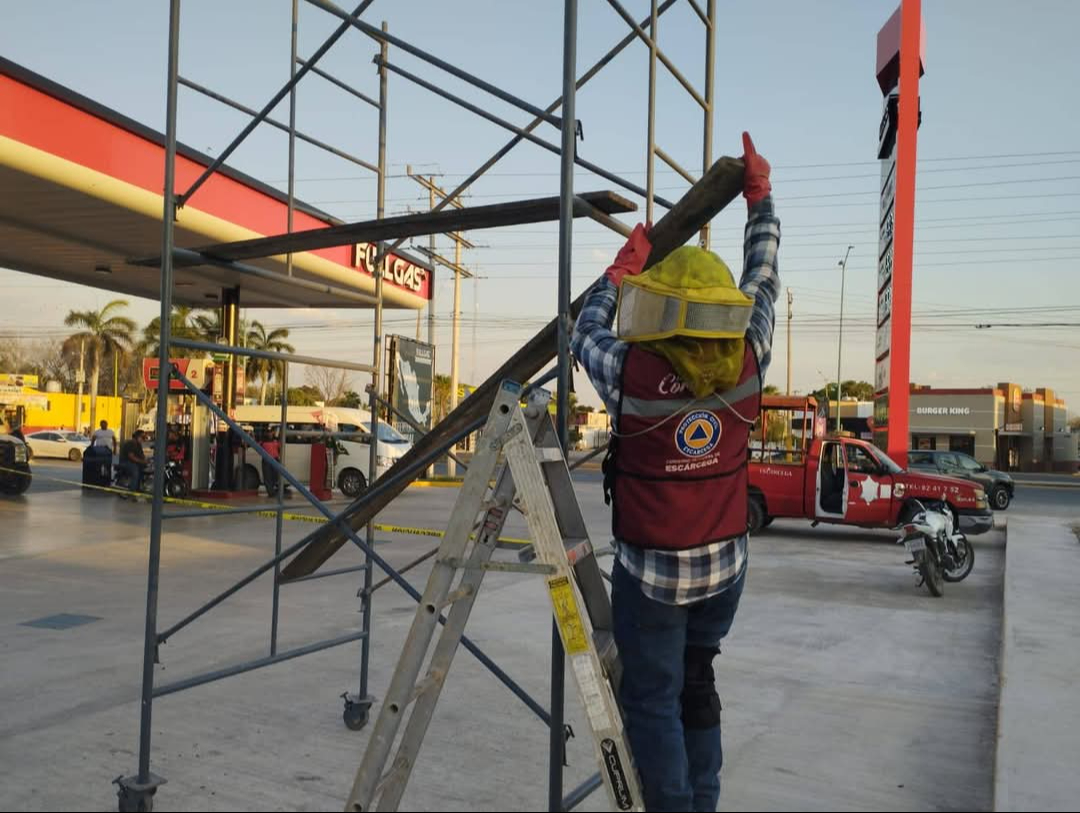 Tras una hora de trabajo, lograron atrapar el enjambre y trasladarlo en una camioneta oficial Tras una hora de trabajo, lograron atrapar el enjambre y trasladarlo en una camioneta oficial