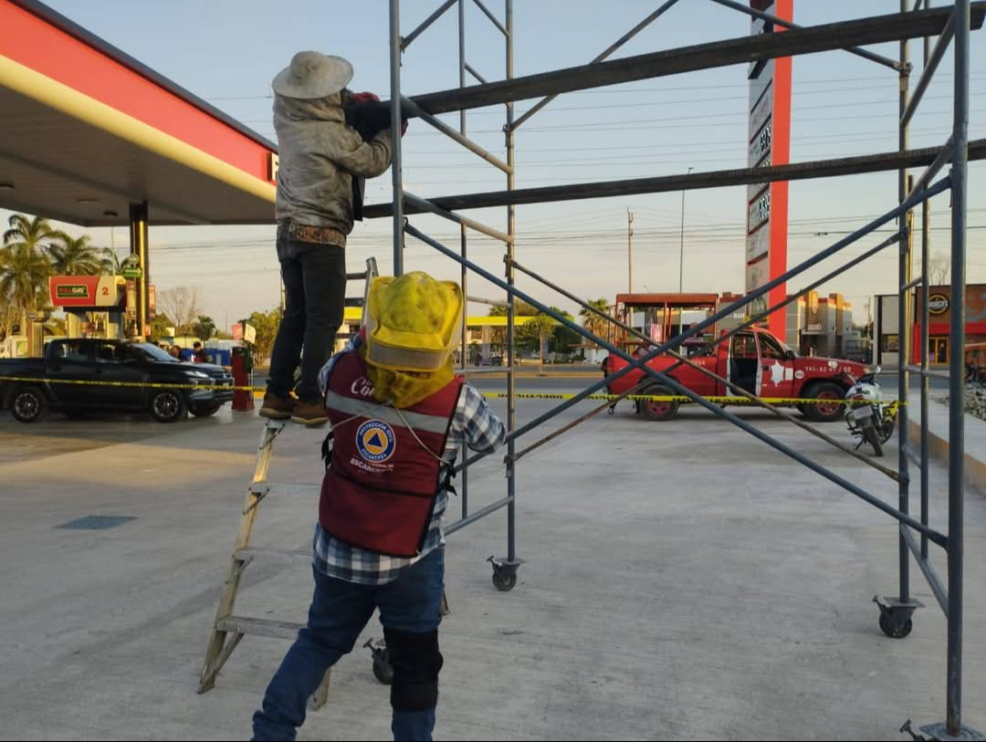 Un enjambre de abejas apareció en una estación de combustibles, representando un riesgo para los clientes. Un enjambre de abejas apareció en una estación de combustibles, representando un riesgo para los clientes.