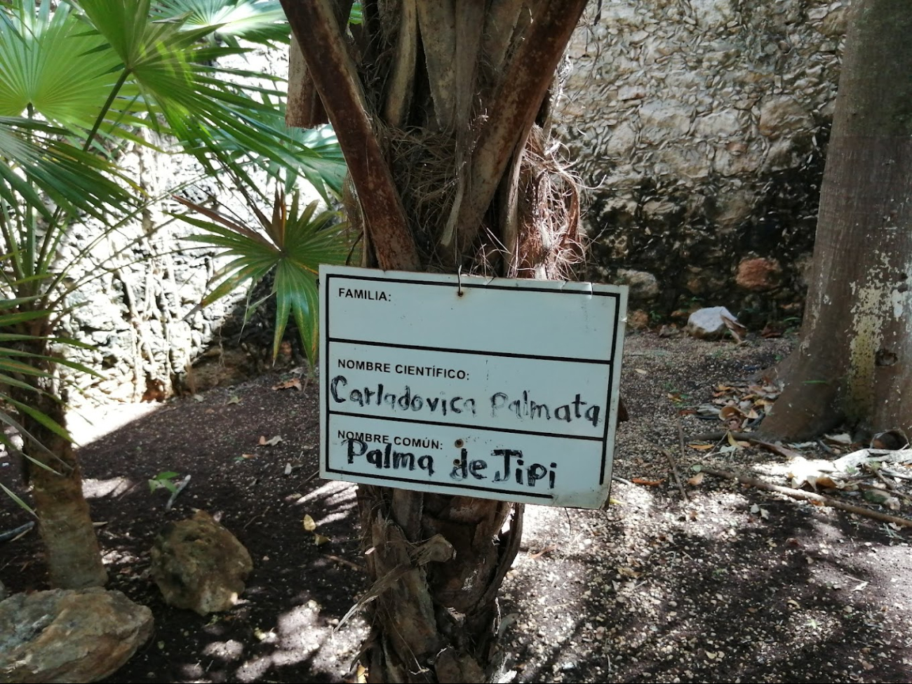Permite a los visitantes conocer la biodiversidad campechana Permite a los visitantes conocer la biodiversidad campechana