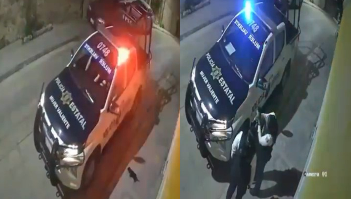 Heroínas: Policías de Campeche salvan a perrito de ser atropellado en la vía pública