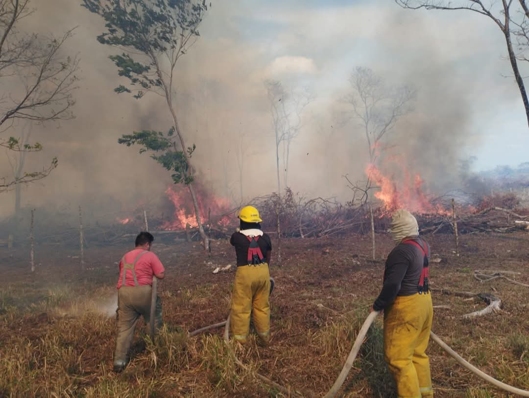 Bomberos controlan conato de incendio en la carretera Escárcega–Villahermosa
