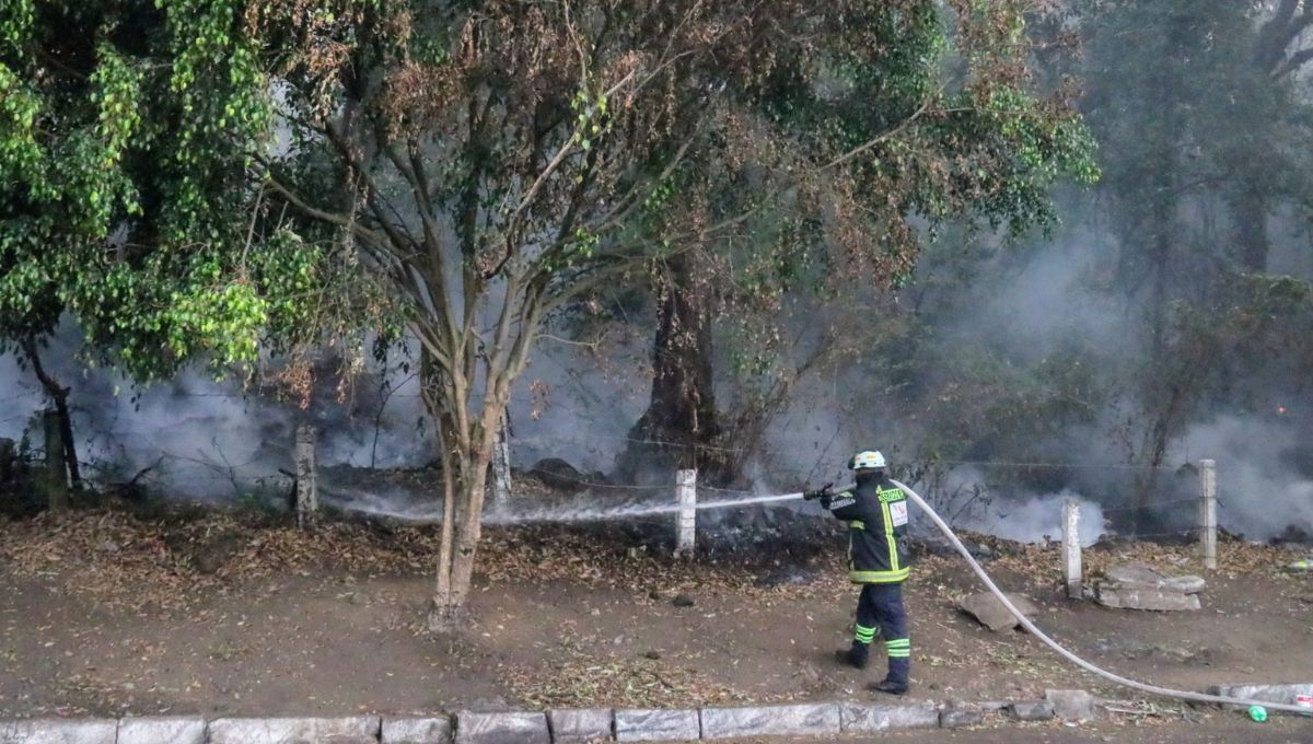 Controlan al 100% los incendios del Complejo Tepoztlán en Morelos que afectó más de 1,700 hectáreas