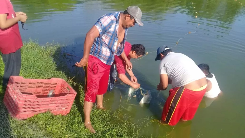 Sin agua ni apoyo: acuicultores enfrentan su peor sequía en años Sin agua ni apoyo: acuicultores enfrentan su peor sequía en años
