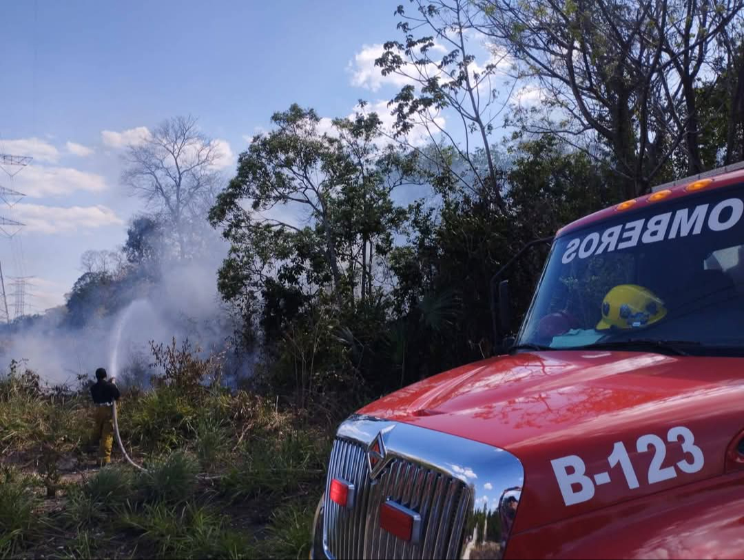 El fuerte viento provocó que el fuego avanzara rápido hacia algunas viviendas. El fuerte viento provocó que el fuego avanzara rápido hacia algunas viviendas.