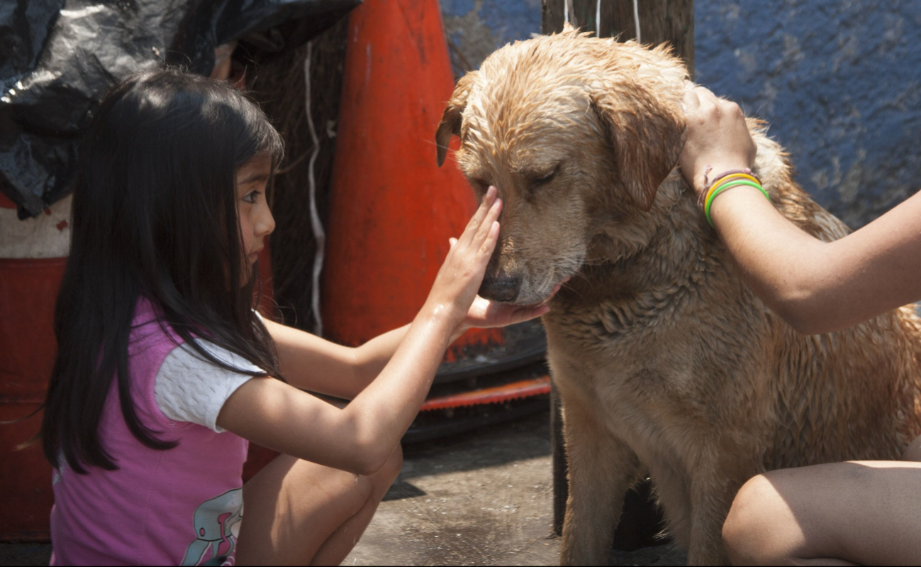 Champotón y su leyenda maldita: La trágica historia de la niña y el perro